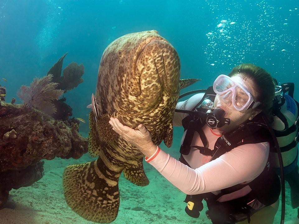Amy Slates Amoray Dive Resort