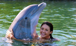 Dolphins Plus