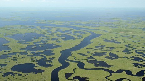 Everglades National Park
