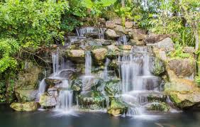 Key West Tropical Forest & Botanical Garden